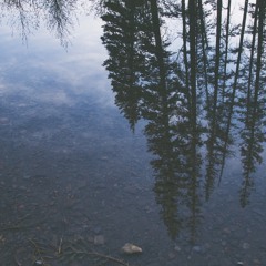 Vesky // Lost