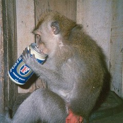 a million monkeys (2019 stereo version)