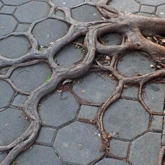 Nature Always Finds A Way