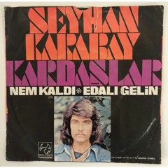 Seyhan Karabay - Nem Kaldı 1974 (Vinyl Record)