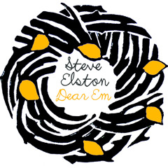 Planxty Davis - Steve Elston