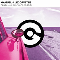 Gamuel & leCorvette - Never Let You Go (Greg Haway Remix)