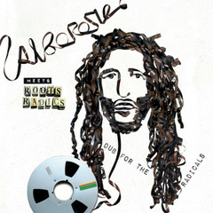 Alborosie - Dub For The Radicals | Alborosie Meets Roots Radics