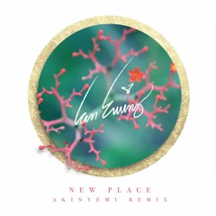 New Place (Akinyemi remix)