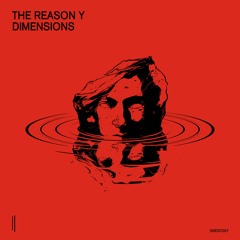 The Reason Y - Dimensions