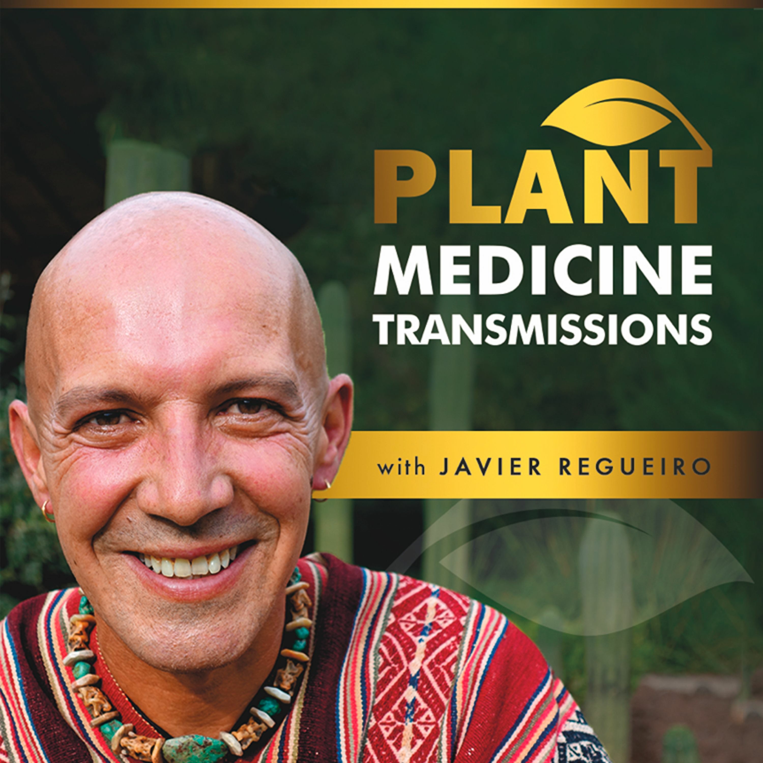 Plant Medicine Transmissions
