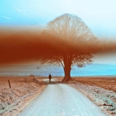 Птичий бит – Надо было сказать