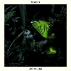 Tomanka - Shroomlands