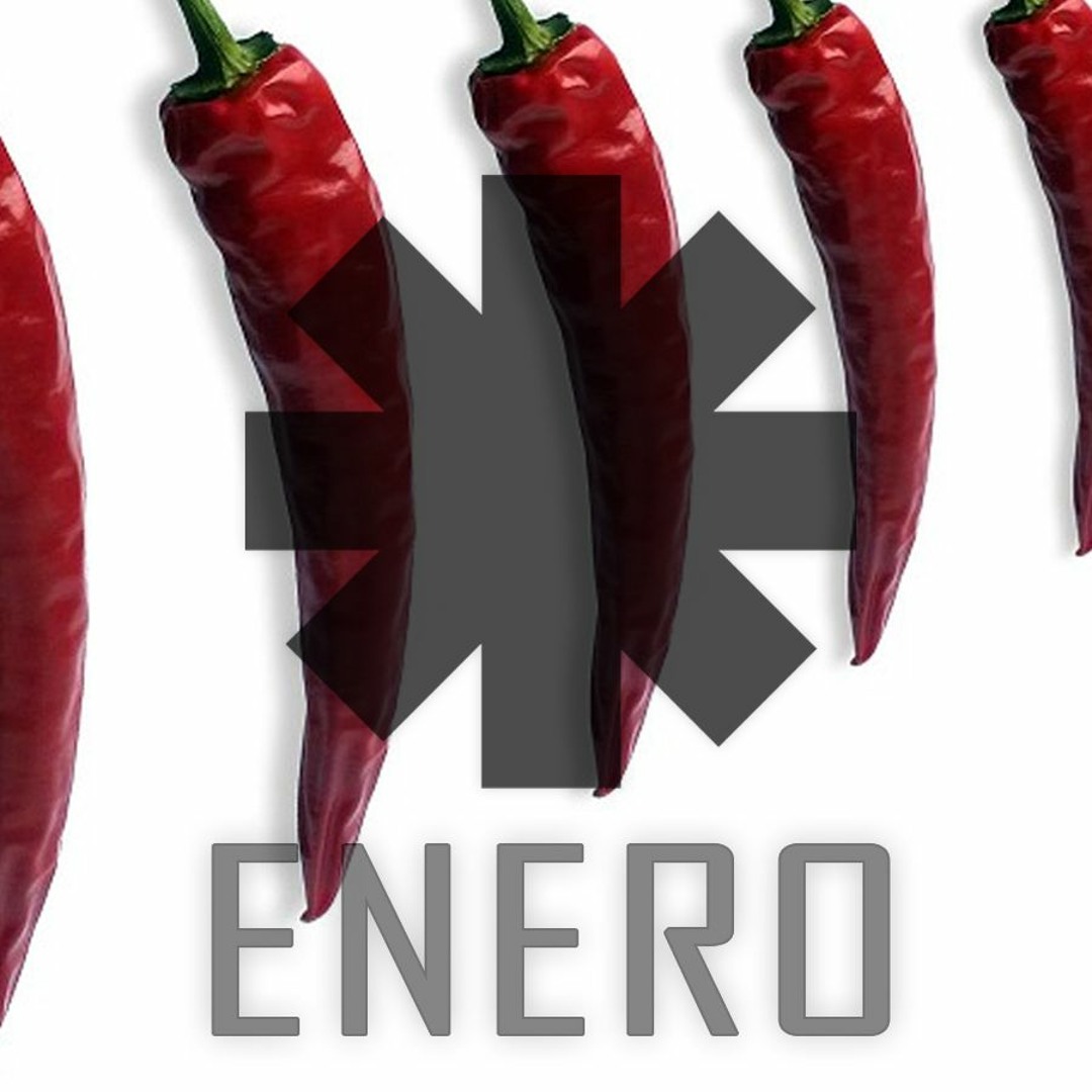 Stream Red Hot Chili Peppers - Can't Stop (Enero Remix) by Enero