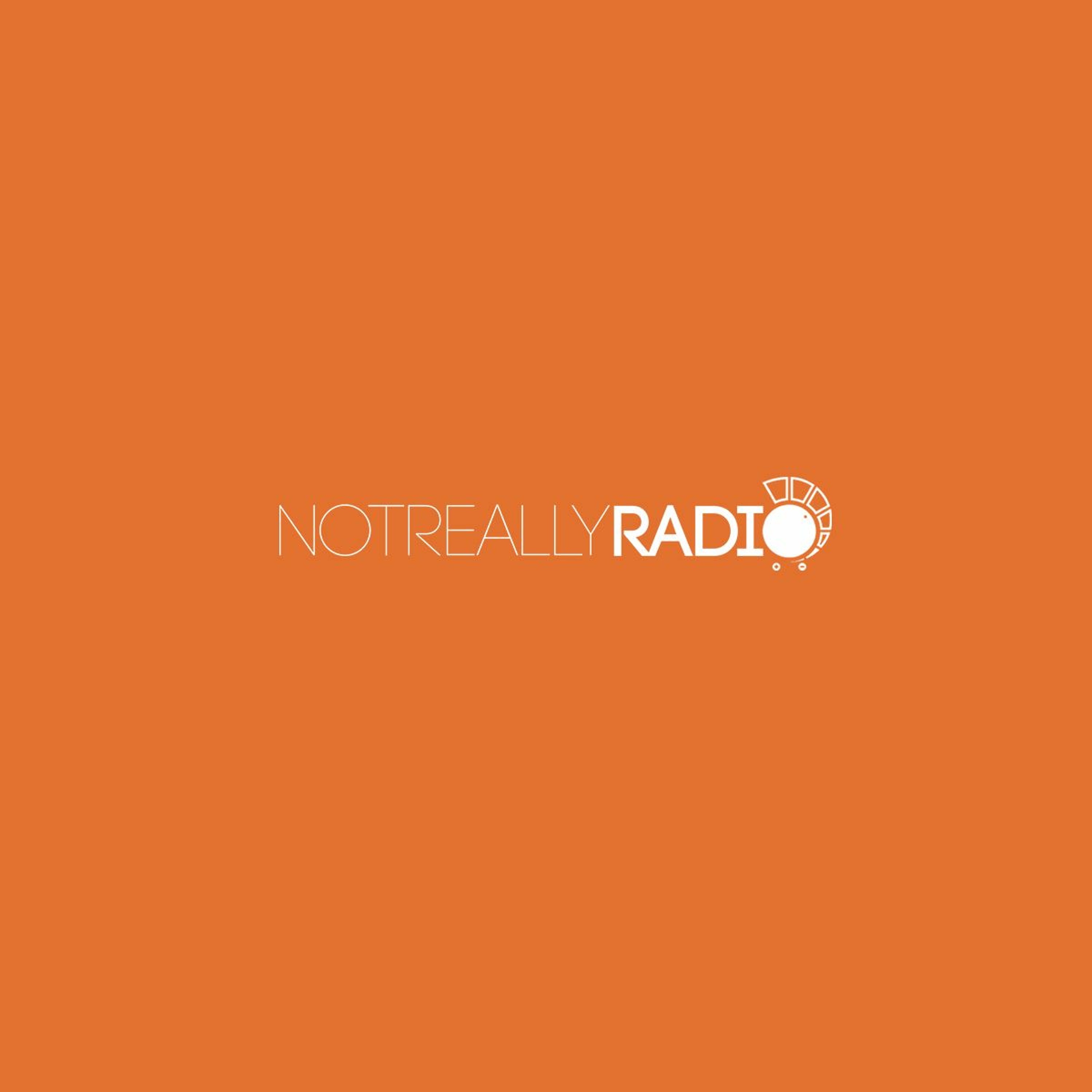 Not Really Radio Episode 20: Live From Indianapolis episode artwork