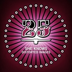 She Knows - Distorted Images (Original Mix)[Bar25-087]