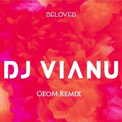 DJ Vianu - Beloved(GeoM Remix)