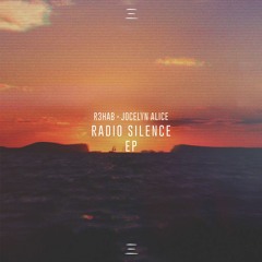 Radio Silence (Mathew Hill Remix)