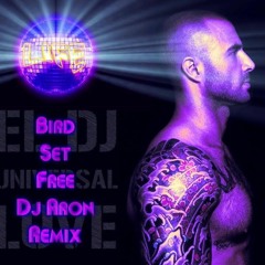 Bird Set Free (DJ Aron Remix)