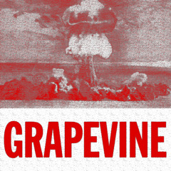 Tiesto - Grapevine (GMAXX & Calixto Remix)