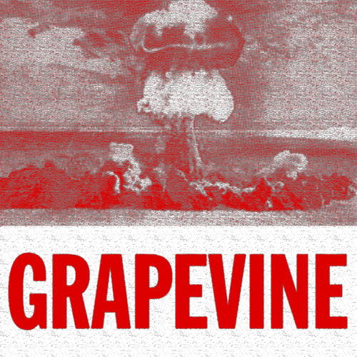 Tiesto - Grapevine (GMAXX & Calixto Remix)