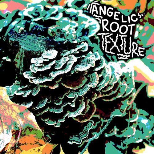 Angelic Root - R E C O G N I Z E  T E X T U R E