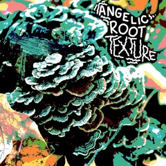 Angelic Root - The Limiter