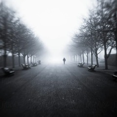 A Wondering Thought...