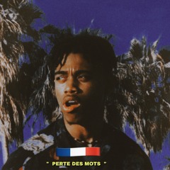 Perte Des Mots [FREE DOWNLOADS]