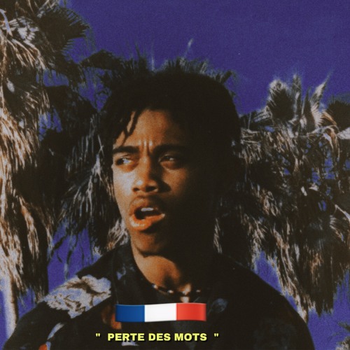 Perte Des Mots [FREE DOWNLOADS]