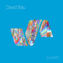 ELV114 2. David Bau - Acid Trip
