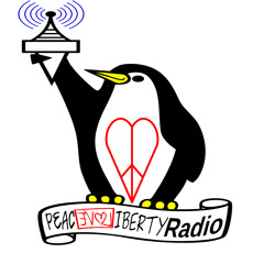 PLL Radio 571