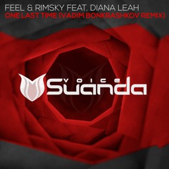 FEEL X RIMSKY feat. Diana Leah - One Last Time (Vadim Bonkrashkov Remix)