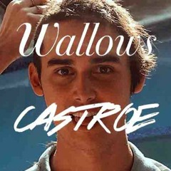 Wallows-Pictures of Girls (CASTROE Remix) FREE DOWNLOAD