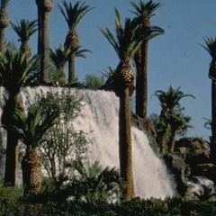 Nagatha Crispy (gap)