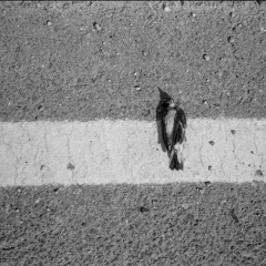 FH - Before, After [2014]