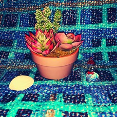 $pank X Nicky J - IT'S ON ME