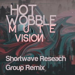 Mute Vision (Shortwave Research Group Remix)