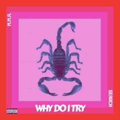 WHY DO I TRY (feat. 973Prada)