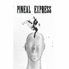 #13 - Preview - Derailments, Minutiae, and Tirades