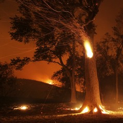 FRIOGUAPOJOVENTRABAJADOR