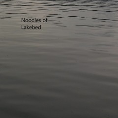 Noodles Of Lakebed