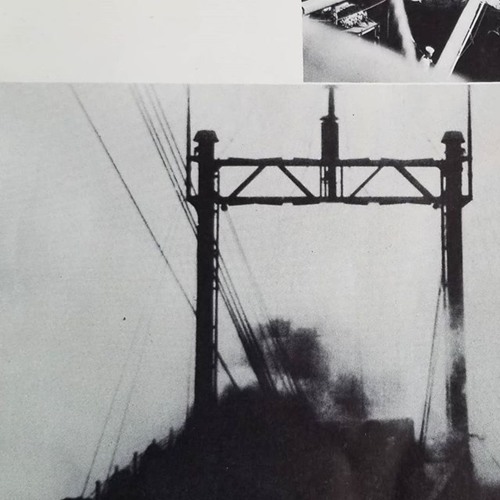 willweever - Steady Walking