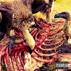 Vulture Ft eNox & Trief (Prod.by Chup)