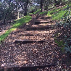 Vespucci ft Pacepop - Lost