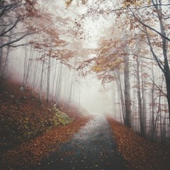 Raggi Luminosi - Atmosphere Of The North