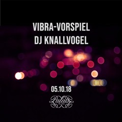 Vibra Vorspiel DJ Knallvogel