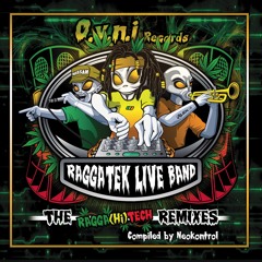 Raggatek Live Band - Get Up Stand Up N' Fight (Neokontrol Remix) - 180