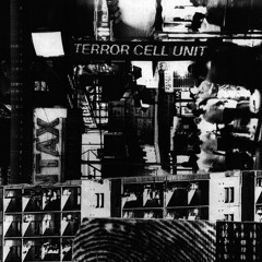 Terror Cell Unit - Sharing Your Shame (Your Last Post)