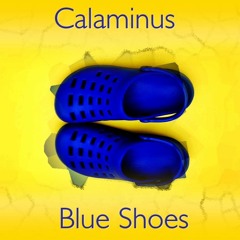 Blue Shoes