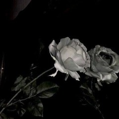 somebody you loved - lewis capaldi [^]
