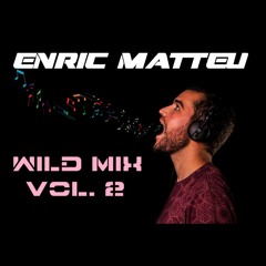 Enric Matteu - Wild Mix Vol. 2