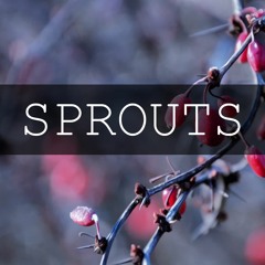 Sprouts