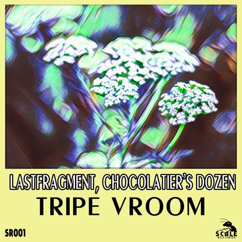 Lastfragment & Chocolatier's Dozen - Tripe Vroom