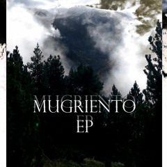 5 - Sentado - Febril Jaleo - Prod U.L.Rec